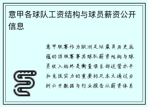 意甲各球队工资结构与球员薪资公开信息